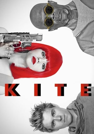 Kite 2014 Dual Audio Hindi Movie | Hindi Dubbed Movie BluRay - 1GB