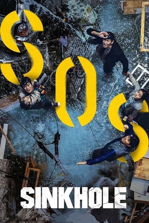 Sinkhole (2021) Hindi Dual Audio HDRip | Hindi Dubbed Movie – 720p – 480p