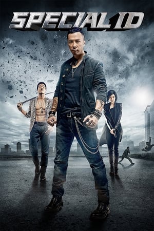 Special ID (2013) Hindi Dual Audio | Hindi Dubbed Movie BluRay 300MB ESubs